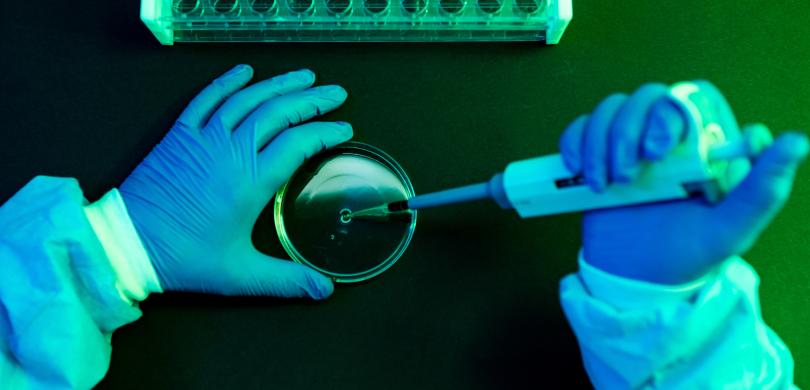 Hands of a lab worker with petri dish