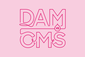 Blog header image: Understanding DAM vs. CMS article