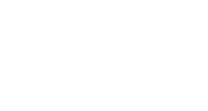 Caes Logo