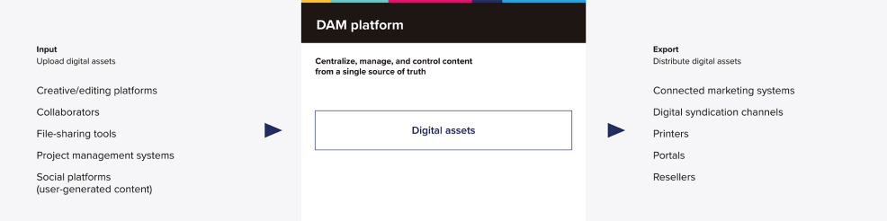 Graphic showing how content and data is imported and exported with a DAM system.