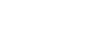 Fannie Mae Logo