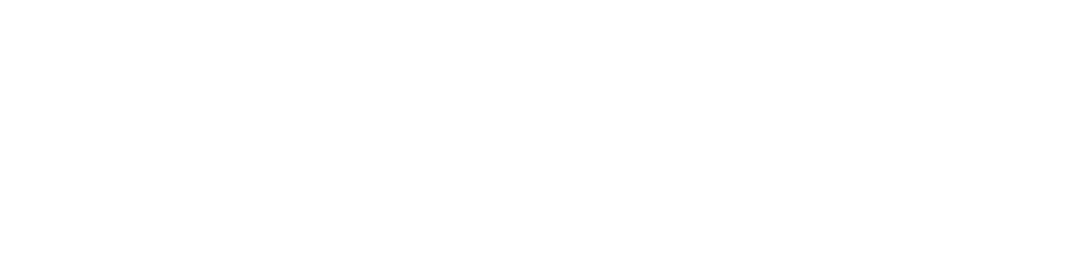 Fannie Mae Logo