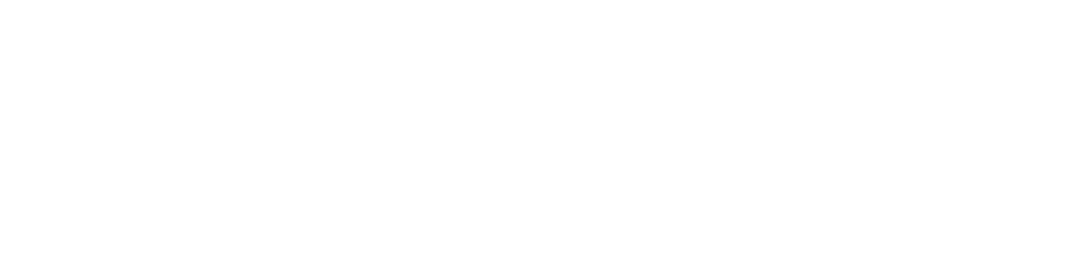 Fannie Mae Logo