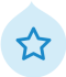 blue star icon