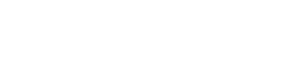 ZScaler Logo